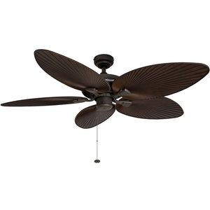 Ceiling fan